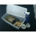 Buy Springtail Culturing Kits & Supplies