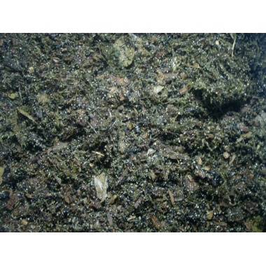 rrf tropical floor substrate 2 lbs